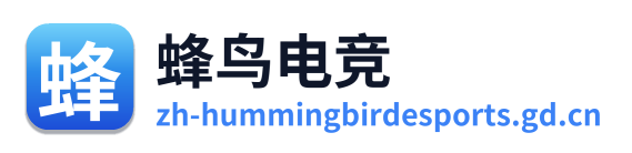 蜂鸟电竞